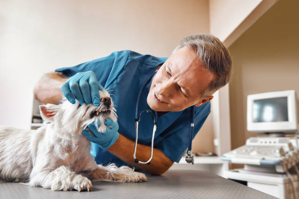 Tooth Infection Emergency Dentist in OH